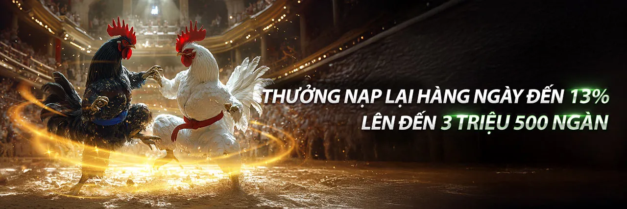 Sân đấu đá gà trực tuyến tại 777king99